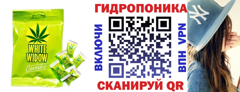 kraken как найти Уржум Canna-Cookies марихуана