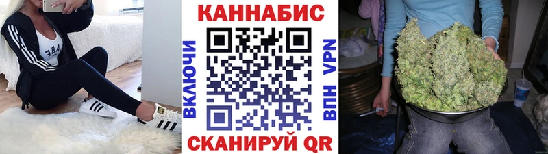 Канабис сатива Уржум